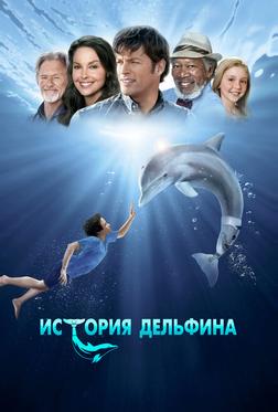 История дельфина История дельфина