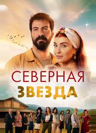 Полярная звезда