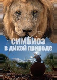 Симбиоз в дикой природе
