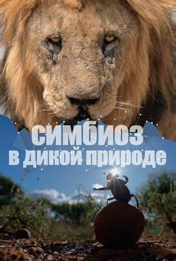 Симбиоз в дикой природе Симбиоз в дикой природе