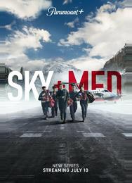 Летучие медики