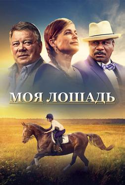 Моя лошадь Моя лошадь