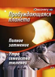 Пробуждающаяся планета
