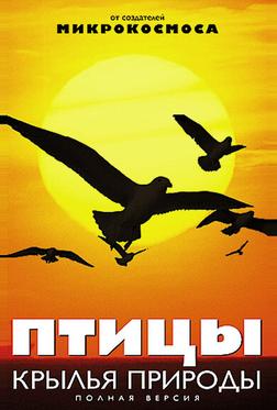 Птицы: Крылья природы Птицы: Крылья природы