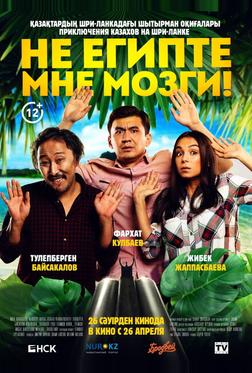 Не египте мне мозги! Не египте мне мозги!
