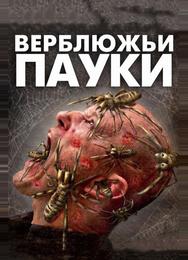 Верблюжьи пауки