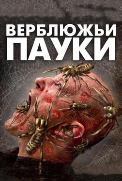 Верблюжьи пауки Верблюжьи пауки