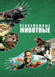Невозможные животные