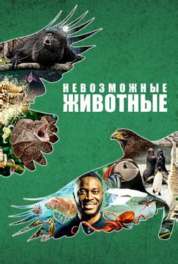 Невозможные животные Невозможные животные