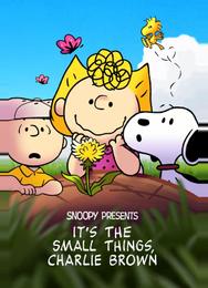 It's the Small Things, Charlie Brown