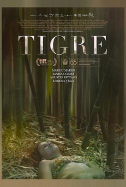 Тигр Тигр