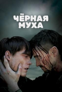 Черная муха