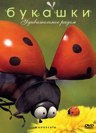 Букашки