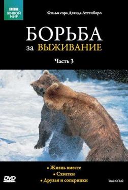 Борьба за выживание Борьба за выживание