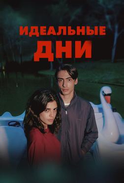 Идеальные дни