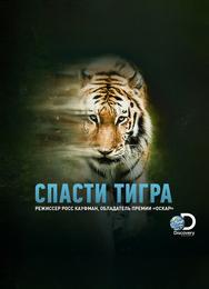 Спасти тигра