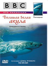 BBC: Большая белая акула