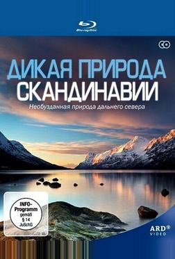 Дикая природа Скандинавии Дикая природа Скандинавии