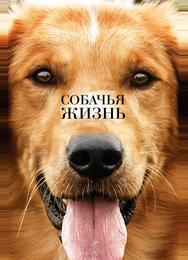 Собачья жизнь