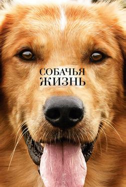 Собачья жизнь