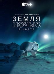 Земля ночью в цвете