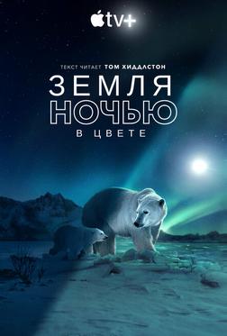 Земля ночью в цвете Земля ночью в цвете