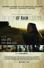 Запах дождя и молнии (2016)