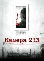 Камера 213