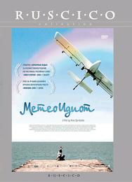 Метеоидиот