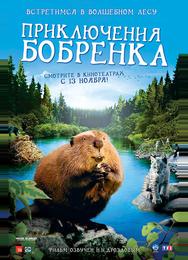 Приключения бобрёнка