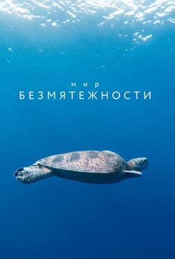 Мир безмятежности Мир безмятежности