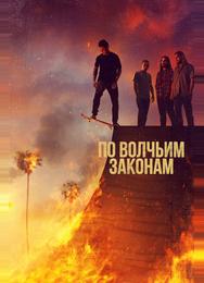 По волчьим законам