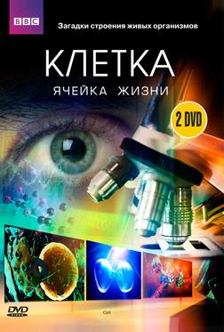 BBC: Клетка BBC: Клетка