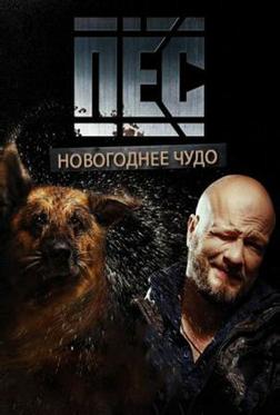 Пёс. Новогоднее чудо Пёс. Новогоднее чудо