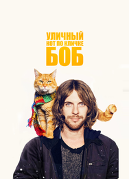 Уличный кот по кличке Боб