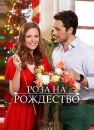 Роза на Рождество