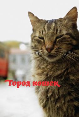 Кот Кот