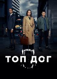 Топ дог