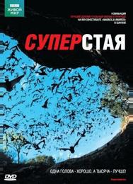 BBC: Суперстая