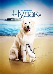 Чудак