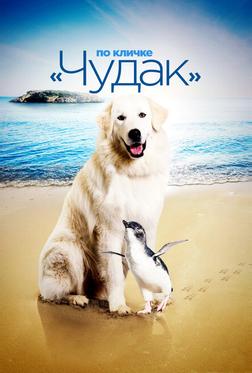 Чудак Чудак