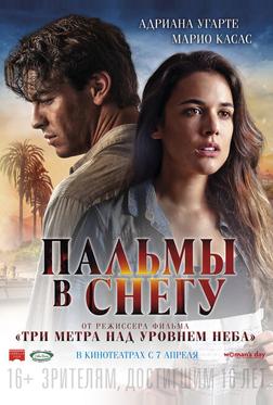 Пальмы в снегу Пальмы в снегу