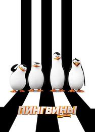 Пингвины Мадагаскара