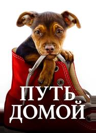Путь домой