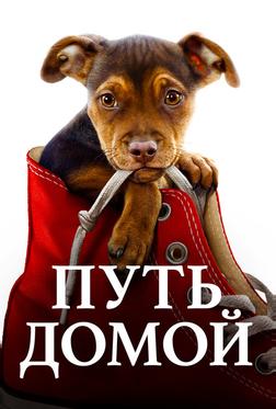 Путь домой Путь домой