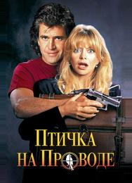 Птичка на проводе