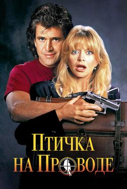 Птичка на проводе Птичка на проводе