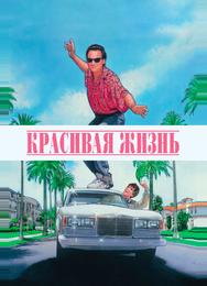 Красивая жизнь