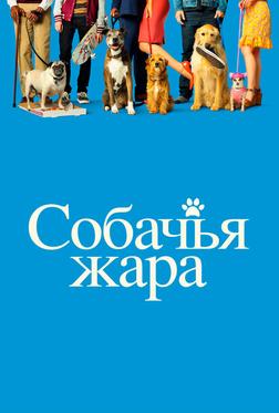 Собачьи дни