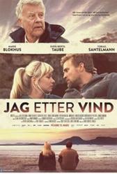 Погоня за ветром (2013)